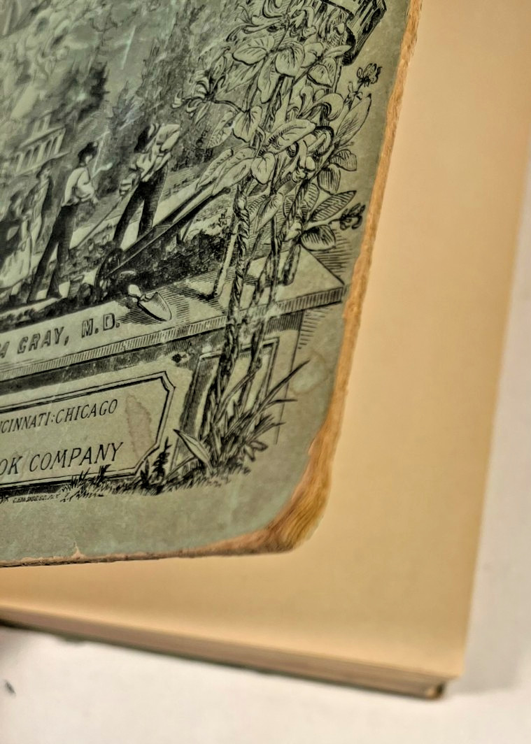 How Plants Grow with A Popular Flora by Asa Gray, M. D. 1858 ACCEPTABLE