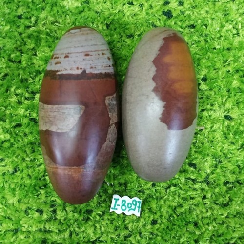 Shiva Lingam Stein 3 25 4 Zoll Poliert Shiva Eif rmige Palm Stone Shiva lingam stein 3 25 4 zoll poliert shiva eif rmige palm stone