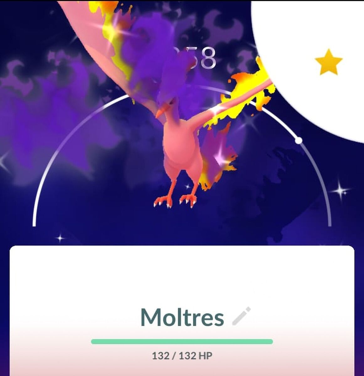 Shiny Shadow Moltres Caught! I've Always wanted THIS! (Pokémon GO) 