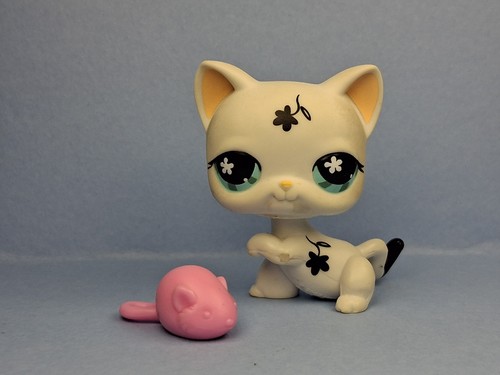 LPS #807 SHORTHAIR Cat Chat Européen- AUTHENTIC Littlest Pet Shop HASBRO- 17 eBa