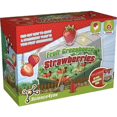Science4you Obst Gewächshaus Erdbeeren pädagogisches Stielspielzeug (nicht englische Box)