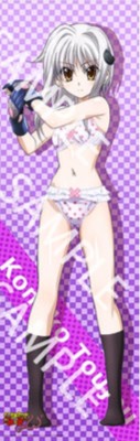 High School DxD New Koneko Toujou Long Flexible Poster Japan Anime Kawaii Girl