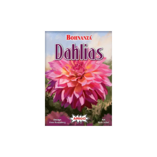Haricot : Dahlias - Photo 1 sur 1