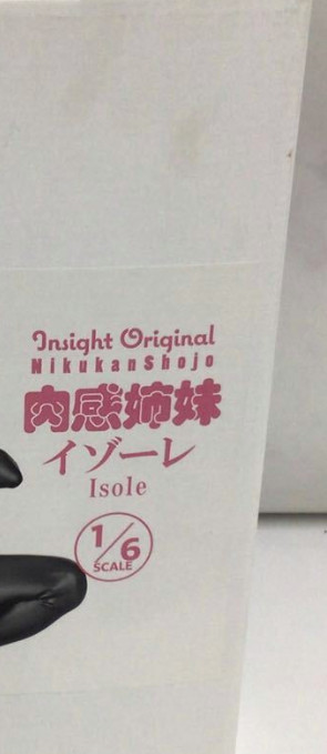 Insight Official Nikkan Girl Isole 1/6 scale Figure 137mm 2023 japan