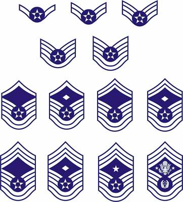 Air Force Embroidered Rank: Senior Airman - OCP Sew On - Vanguard