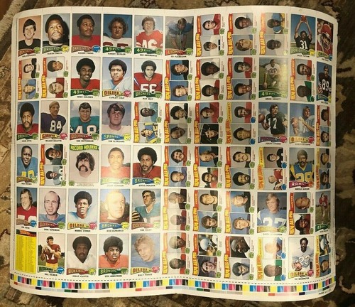 1975 Topps Football TEST PROOFS - SCARCE! $5.99 ea. BLANK BACK - Picture 6 of 7