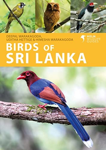 Birds of Sri Lanka (Helm Wildlife Guides): A Ph. Hettige, Warakagoda,.#+,.# - Image 3