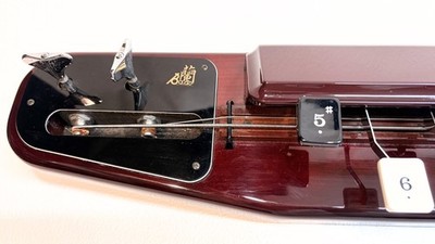 Suzuki Ran Bass Taishogoto Koto Electric Nagoya Harp Peacock