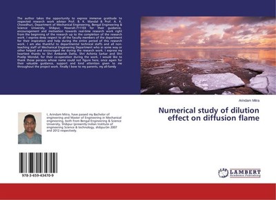 Numerical study of dilution effect on diffusion flame Arindam Mitra