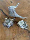 3 Lg Non-Typical Spike Elk A Grade — photo 2