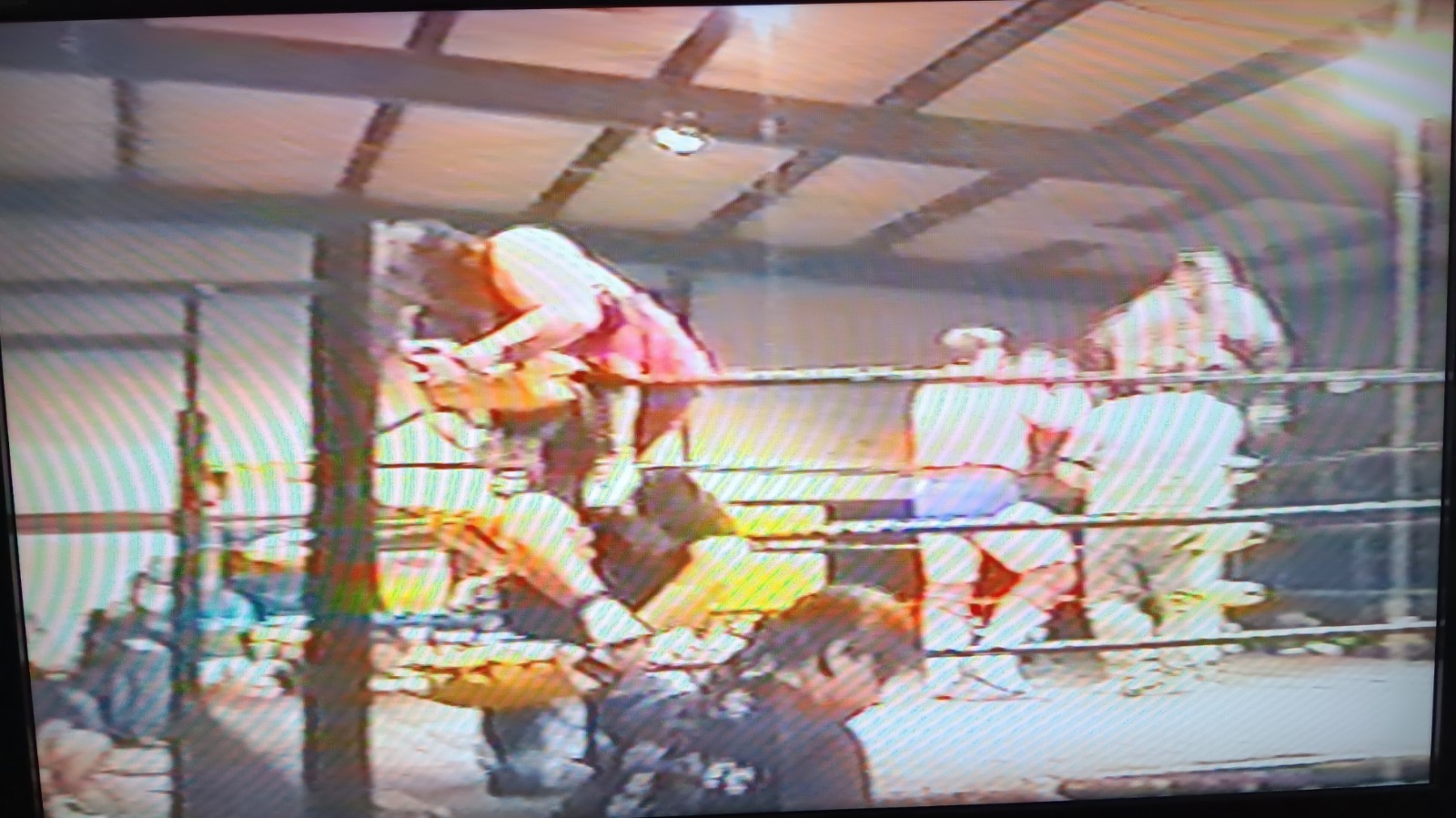 Picture 7 of 24