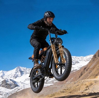 LIZIFLY G20 E-Bike 48V 15.6AH OffRoad 250W E-Mountainbike 20 Zoll Elektrofahrrad