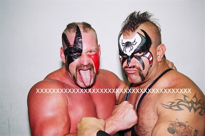 WWF WWE THE ROAD WARRIORS HAWK & ANIMAL ACTION FIGURE ロード