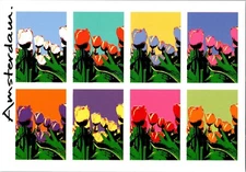 Postcard Amsterdam Art Tulips Forfait Hotel Amsterdam Netherlands Rainbow Floral