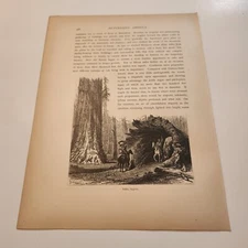 Fallen Sequoia Tree Yosemite California c. 1872 Engraving (290)