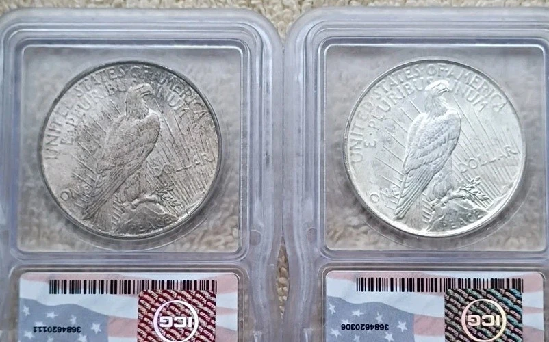 1922 & 1923 ICG MS65 Silver Peace Dollars - ICG  Dallas Hoard Labels - Image 3 of 4