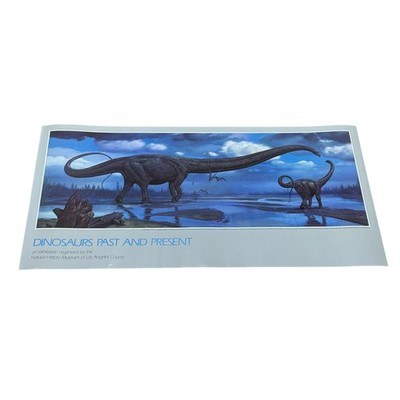 Vintage 1986 Mark Hallett Dinosaurs Past And Present Poster 18x36 Color Museum