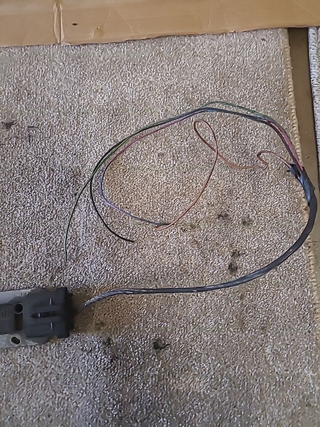 Picture 4 of 5