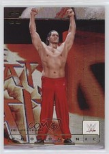 2024 Panini Photogenic WWE The Great Khali #197 1hp9