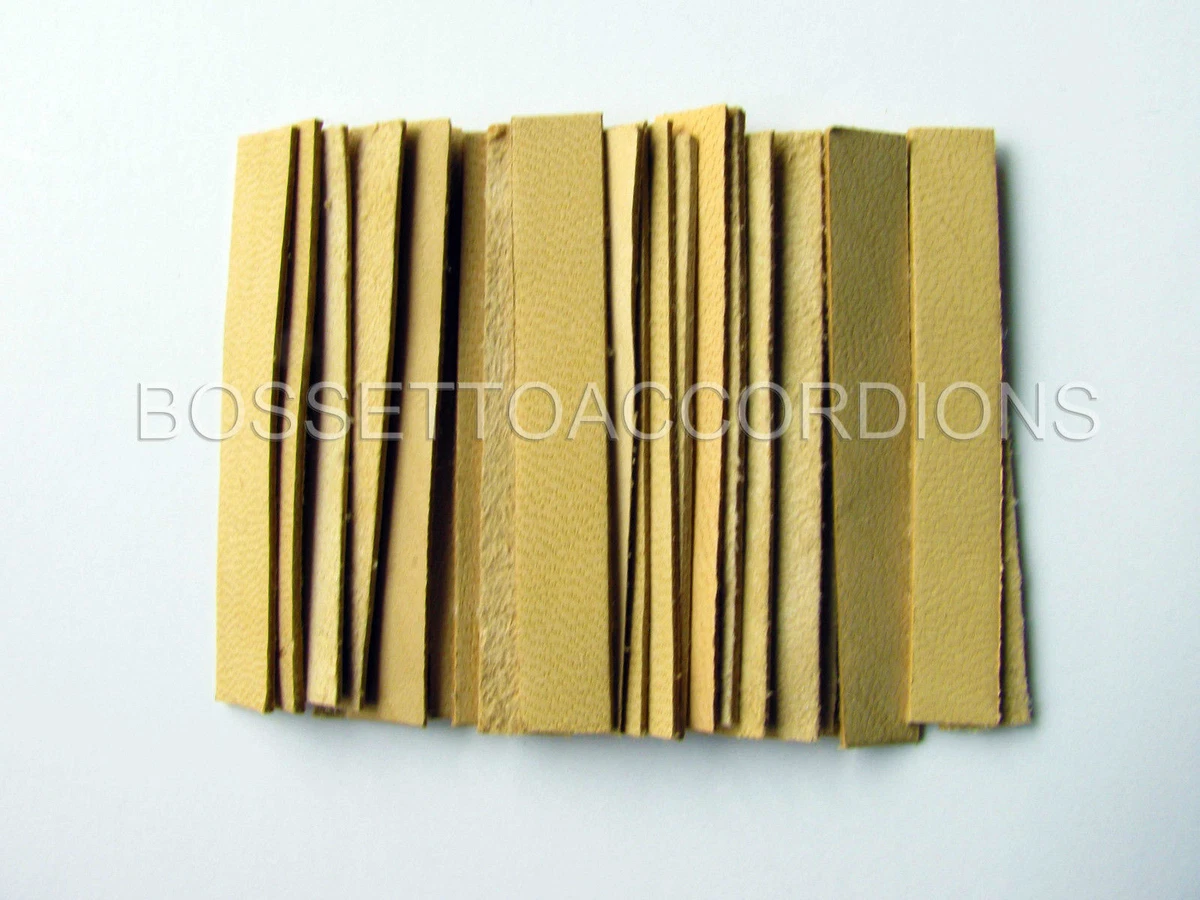 Accordion reed valve leather deals