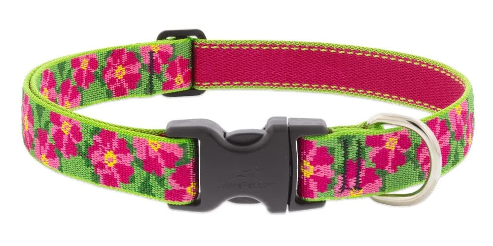 Lupine Dog Collar 1" Wide Petunias Adjusts from 16" to 28"