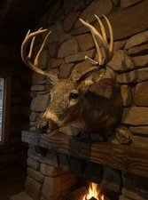 Deer Mount