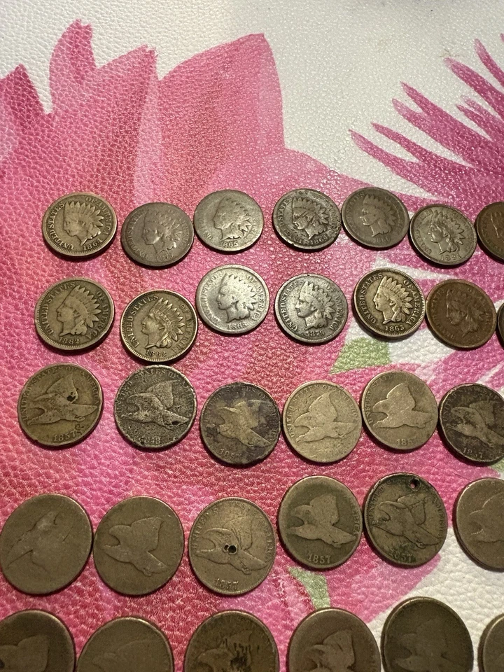 Lot Of 59 - Flying Eagles And 1860s, 1870s, And High Grade XF/AU+ Indian Heads - Image 4 of 4