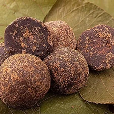 Ceylon Jaffna Coral Natural Palmyra Jaggery  Karupatti | Panaivellam | Palm Jagg