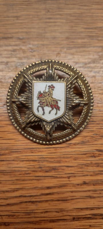 Vintage Shield knight Red White Champleve Enamel  Heraldic Star Brooch