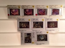 Andrea Mantegna: Camera Degli Sposi- Italian Renaissance Art - 9 35mm Slides