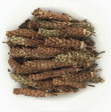 Greenlike Common Sellfheal Fruit - Spike Spica Prunellae Xia Ku Cao 夏枯草