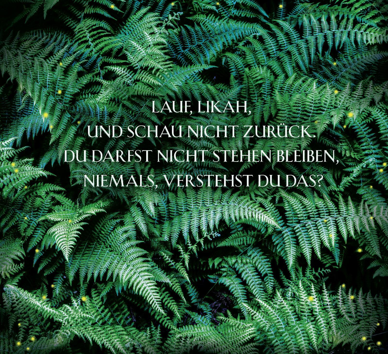 Thumbnail - Die Erbin Des Windes Lucinda Flynn