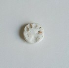 Foto 10 di 11