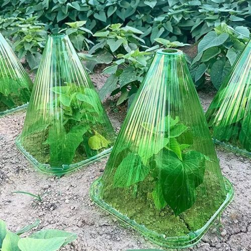 10pcs Reusable Plant Covers - Protects from Birds & Frost(283)
