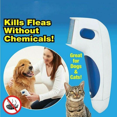 dog lice comb