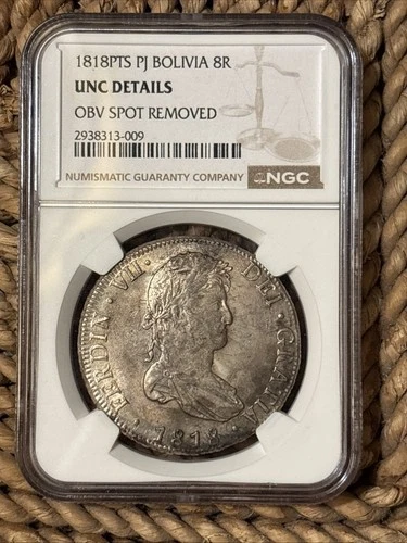 1818 Bolivia Ferdin Reales Potosí PTS PJ 8 Reales Silver Coin NGC UNC Details
