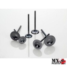 VALVOLA BETA RR 450 2005-2009 VERTEX 8400038-1 ACCIAIO SCARICO