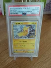 PSA 10 2020 POKEMON S PROMO PIKAPIKA! PIKACHU! CAMPAIGN 126/S-P PIKACHU JPN
