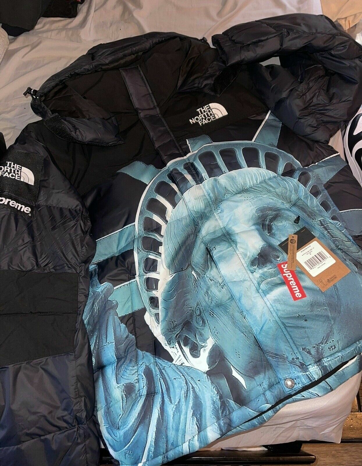 DS! SUPREME THE NORTH FACE STATUE OF LIBERTY BALTORO JACKET BLACK M FW19 TNF