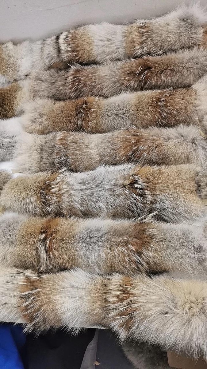 Coyote Fur Trim Hood YKK Zipper Real Fur Canada Goose Replacement