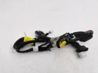 Rear door wiring loom