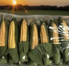 Longaberger Faux Corn (7)  For JW Miniature Corn Basket