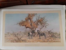 DAVID SHEPHERD " ZEBRAS AND COLONY WEAVERS" Signed LE . 850 Stamped by FATG