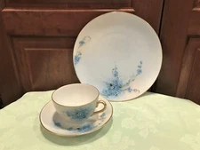 Beautiful Bavaria  Cup Saucer Plate Blue Flowers Hand Painted By L Mcarry 1913 