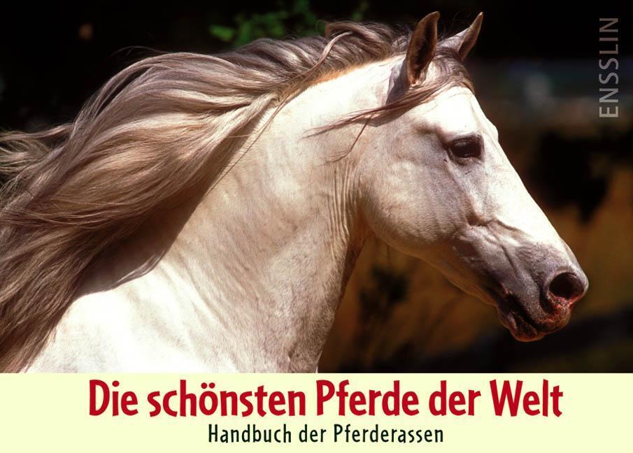 Thumbnail - Die Schönsten Pferde Der Welt - Handbuch Der Pferderassen, Judith
