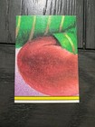 Bild 80 von 188