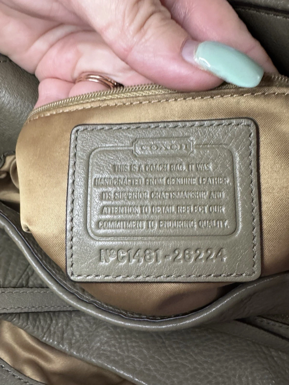 Borsa a tracolla Coach Phoebe verde grigio pelle ciottolata 3 scomparti G1481 26224