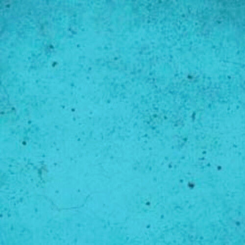Dieci secondi colori - Caraibi - 1 gallone - Foto 1 di 8