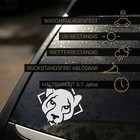 Foto 2 di 7