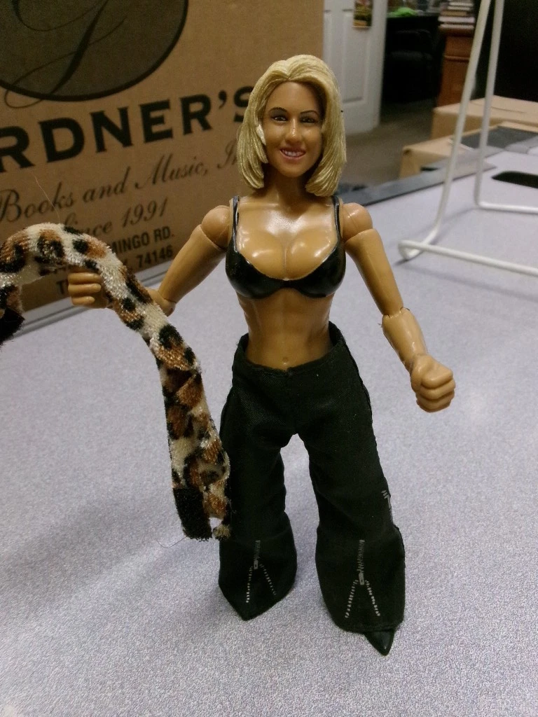 Sunny Wwe In Sports Action Figures for sale | eBay